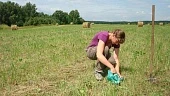 Органическое хозяйство как шахматы