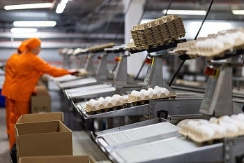 «Советская агрофирма» внедрила цифровой мониторинг производства