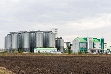 «АГРОСИЛА» наращивает использование отечественной селекции по ключевым культурам