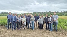 Новая селекция