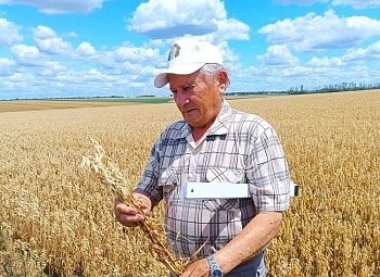Донской профессор Гурский о выводах и уроках прошедшей кампании по уборке зерновых