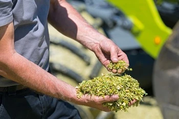 Новые данные об экономической эффективности технологии SHREDLAGE®