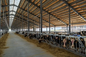 Завершается строительство крупнейшего молочного комплекса