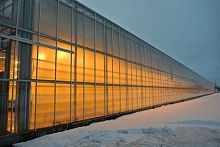 За пять лет рост на четверть