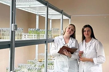 Молодые ученые будут совершенствовать биотехнологические методы размножения садовых культур