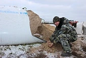 Выгодный корм