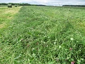 Фитобиотики повышают продуктивность