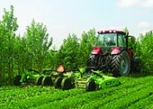 Мульчировщики против кустарников и борщевика