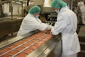 «Атриа» будет вкладываться в российское свиноводство