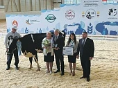 Племенные животные вышли на подиум