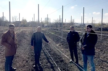 В Георгиевских ЛПХ развивают суперинтенсивное садоводство