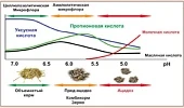 Обеспечить высокую продуктивность и сохранить здоровье молочных коров