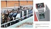 Заботливая КормоМама