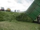 Интенсификация молочнокислого брожения