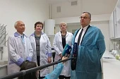 Cеменной картофель по стандартам ООН
