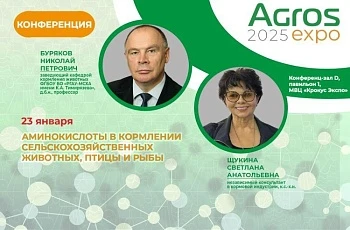 О ситуации по рынку аминокислот и особенностях их применения в кормлении