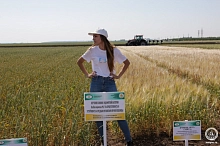 Ученые разработали биопрепараты на основе почвенных бактерий