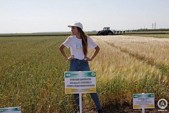 Ученые разработали биопрепараты на основе почвенных бактерий