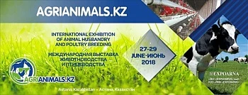 Международная выставочная компания "EXPOARNA" приглашает