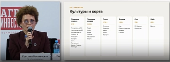 Семеноводство как ответ на вызовы: опыт агрохолдинга «Лазаревское»