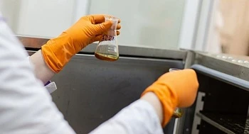 Эксперты рассказали об изменениях в обращении с побочными продуктами животноводства