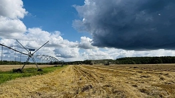 6,8% годовых по приоритетным направлениям