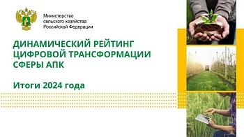 Названы лидеры цифровизации