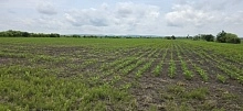 Землепользователи обязаны сохранять плодородие почв
