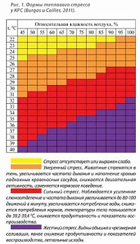 Если корове жарко