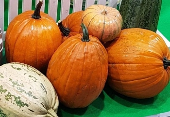 Королева осеннего урожая: в Тыквенный спас — всё о тыкве