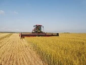 Косилки самоходные в сравнении