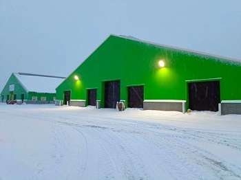 Тотемские буренки отпразднуют новоселье и Новый год в комфортном жилище