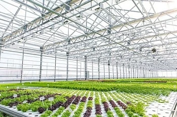 Якутский инновационный тепличный комплекс признан лучшим в России