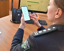 Как мобильное приложение помогает находить заброшенные поля