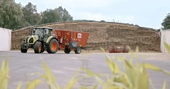 Раздавать корма правильно