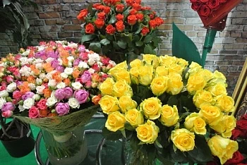 Рекорд ленинградских цветоводов к Дню учителя