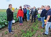Дорогу биологизации