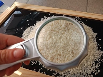 13 ноября – Всемирный день качества