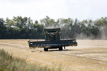 Рост мировых цен на продукты питания
