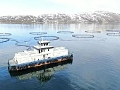 Аквакультурные перемены