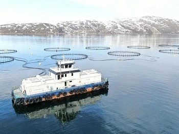 Аквакультурные перемены