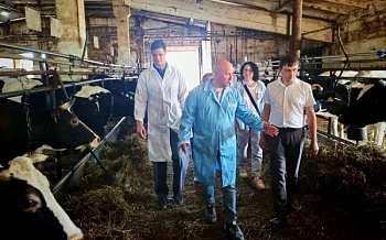 В 2026 году в Ухте начнется строительство фермы на 1200 голов КРС
