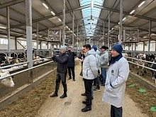 Минсельхоз заинтересовался технологиями нейростимуляции