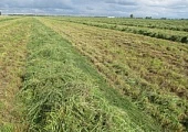 Что могут рассказать корма