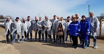 Сибиряки в Ленинградской области