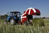 Что делать в кризис, или Импортозамещение