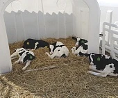 Решения для высокопродуктивного животноводства