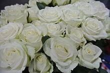 Цветоводство на подъеме