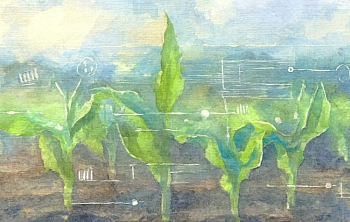 Ведущие игроки АПК наметят вектор роста