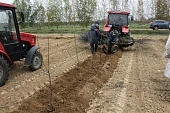 Показательные питомники Белоруссии